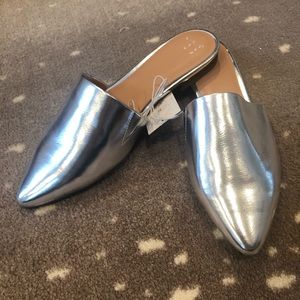 Silver Slide on Mule